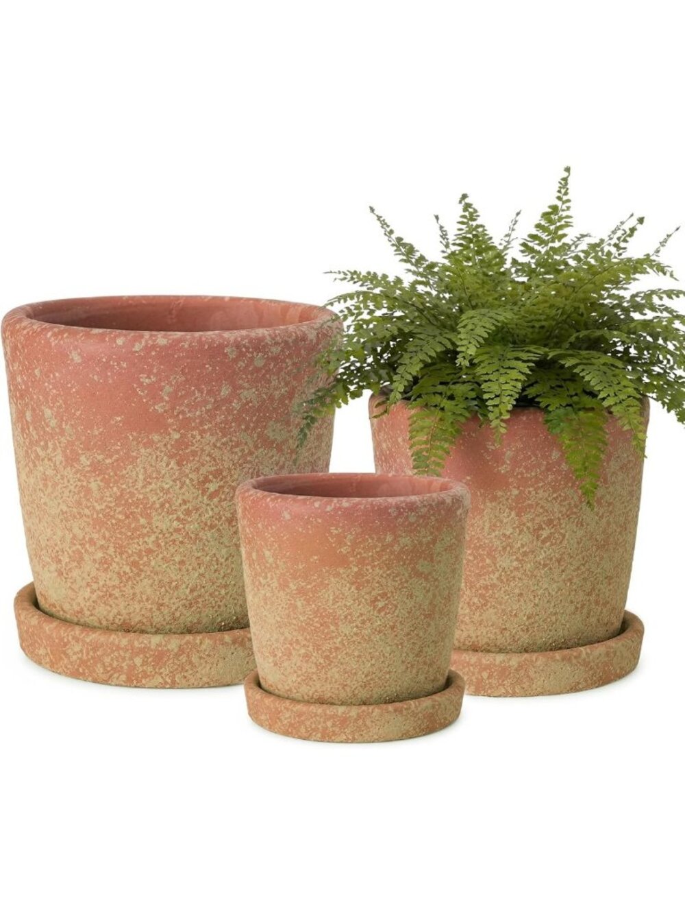 Set of 3 Rustic Terracotta Planters with Saucers - 5, 6, & 7 Inch Pots